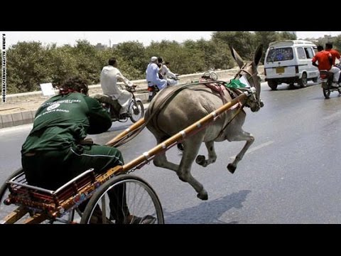 دليل السواقة في مصر-3